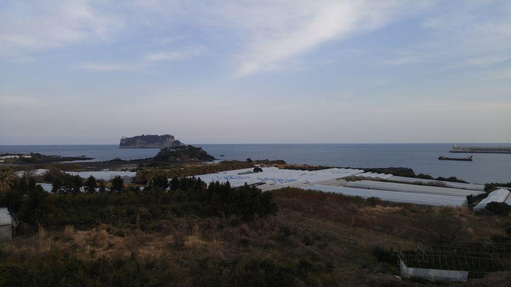Olleyo Resort Seogwipo Extérieur photo