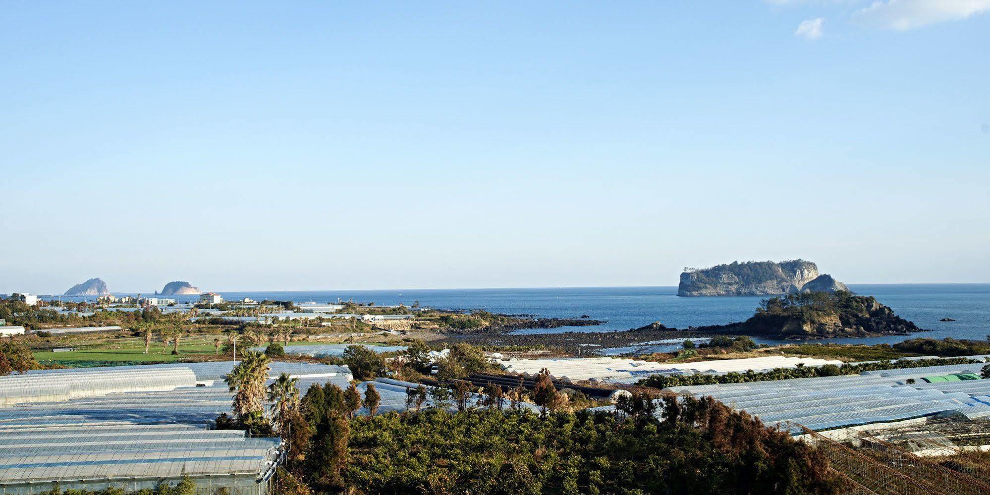 Olleyo Resort Seogwipo Extérieur photo